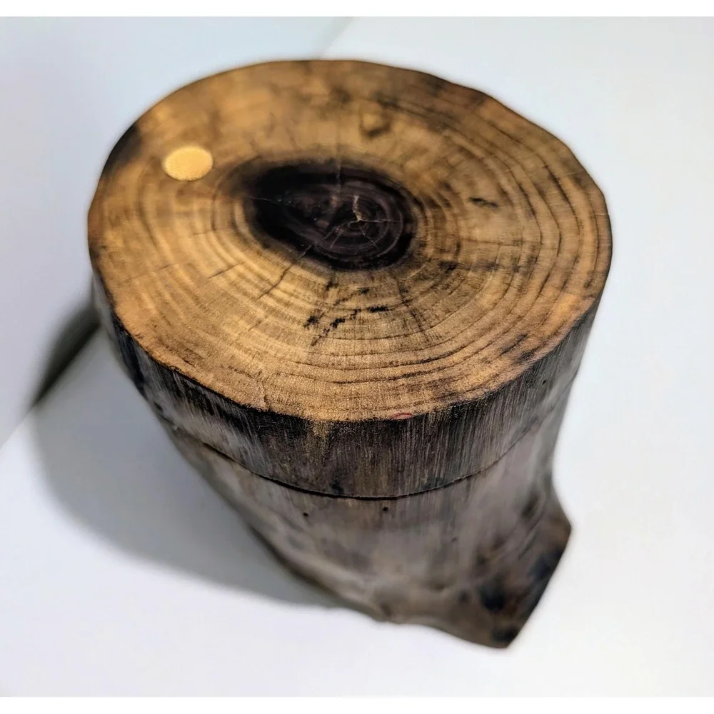 Walnut Stump Jewelry Box. Fairy garden or crystal stand. BLACK WALNUT